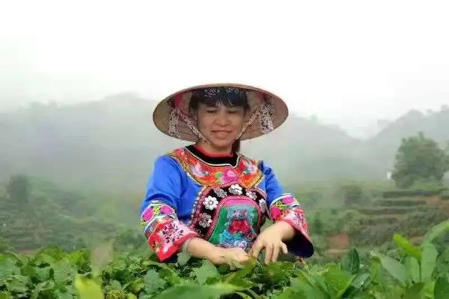 【梧州工匠】劉錦芳：鉆研和創(chuàng)新，帶領(lǐng)鄉(xiāng)親發(fā)家致富