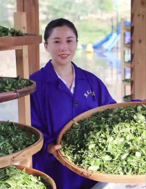 【梧州工匠】石濡菲：擇一茶，修一技，終一生