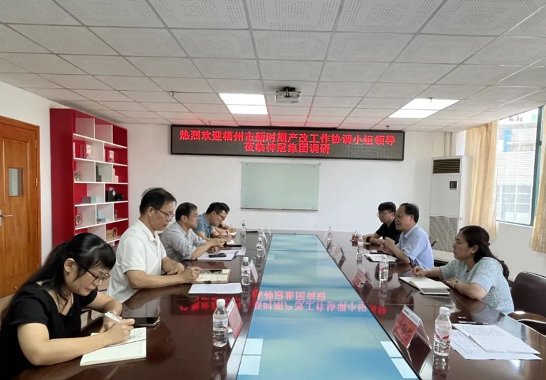 【產(chǎn)改工作進行時】謝善高到廣西神冠膠原生物集團有限公司調(diào)研產(chǎn)業(yè)工人隊伍建設改革工作情況