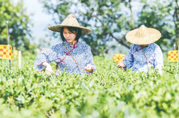 國家批復(fù)同意，梧州籌建！