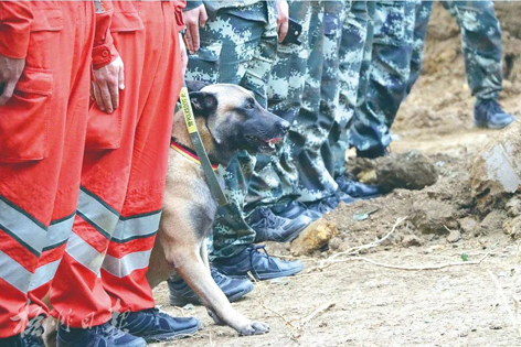 消防、武警、摩托車運輸隊等多方力量聯(lián)合搜救｜東航客機墜毀事故救援現(xiàn)場直擊