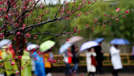 今日雨水！別忘了咱的老講究！