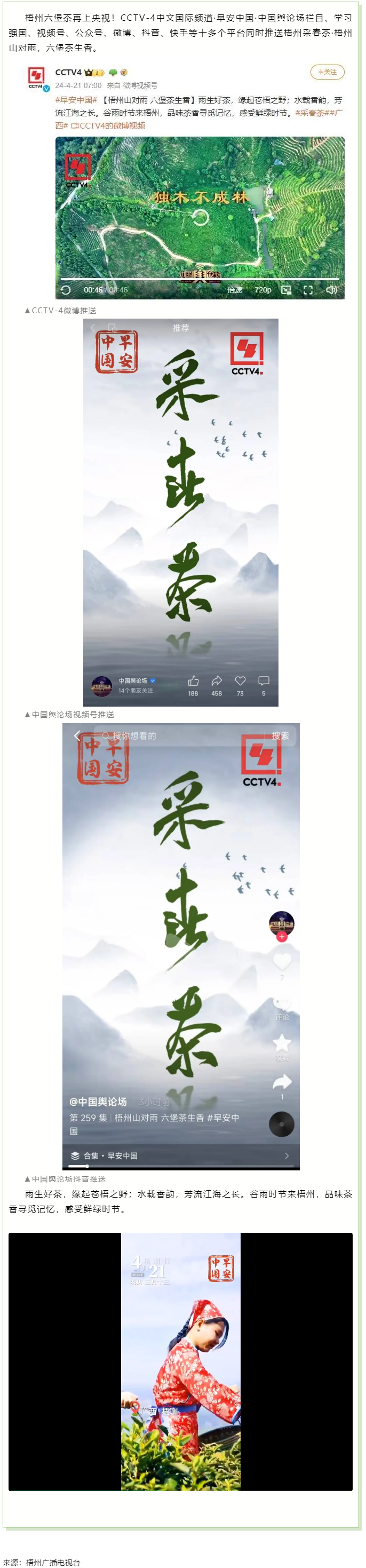 央視、學習強國等十多個平臺同時推送梧州采春茶·梧州六堡茶.png