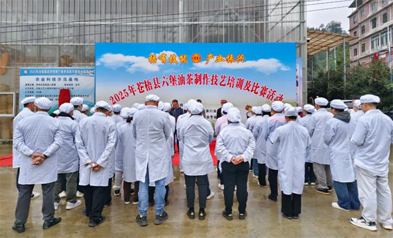2025年蒼梧縣六堡油茶制作技藝培訓(xùn)及比賽活動(dòng)圓滿落幕！