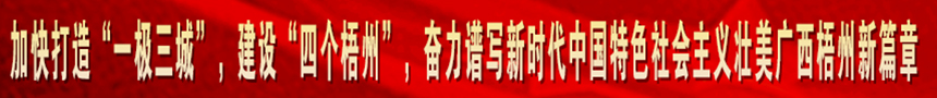 加快打造“一級(jí)三城市”，建設(shè)“四個(gè)梧州”，奮力譜寫(xiě)新時(shí)代中國(guó)特色社會(huì)主義壯美廣西梧州新篇章